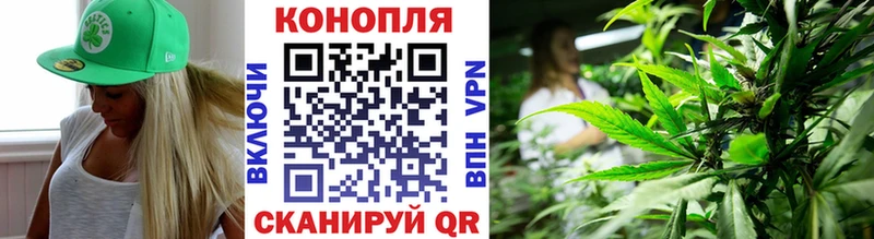 Купить  Перевоз  Каннабис OG Kush 